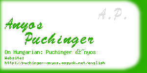anyos puchinger business card